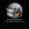 outofthisworlddogs