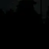 whitejxt