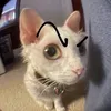 tai.loc.qua.lon.pl
