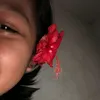 _vllnvk