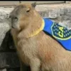 rusa._.blud4
