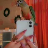 helin_alin2