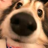 htdcuteqa05