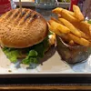 haidanb8