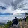 dandipratama_0
