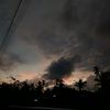 nikko_277