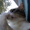 aisha.mohamed828