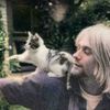 cobain_xyz