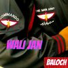 walijanbaloch3