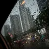 hghgth08