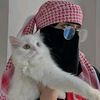 queendibbadan