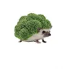 _lil._hedgehog_