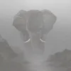 lionighami