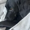 vickymc844