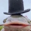 comradehypn0