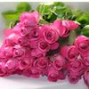 anna42475983892560
