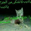 abu_alharth