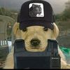 derek1._3