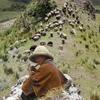 charanguito.de.bolivia