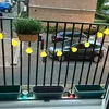 dorisduck4
