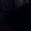 hridn3bddb2icdkd