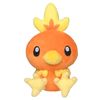 torchic.nw