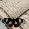 🦋