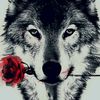 janki89gfhcrtdenakee