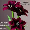 01adana724