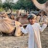 idriss_hissien