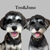 Teo&Juno