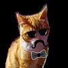 gato___pepe