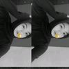 firsa0256