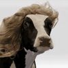 tinys_dairyfarm