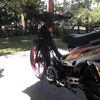 hitamstecu