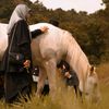 azzalealavender