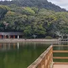 nara_jp_29