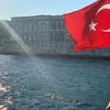 hindtazi3513