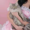 allymwaaaa