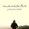 sheikhasif3028