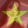 bichngoctran18