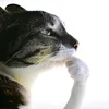 hoanganhlcdb