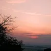 nminhminhn