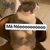 meo.com6789
