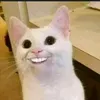 povsocheat03lok
