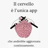 www.tiktokfrancy082
