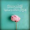 asmaa_34556