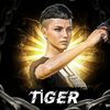 tiger_pubgm04