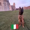 mauromarchi5