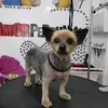 ramoncp2